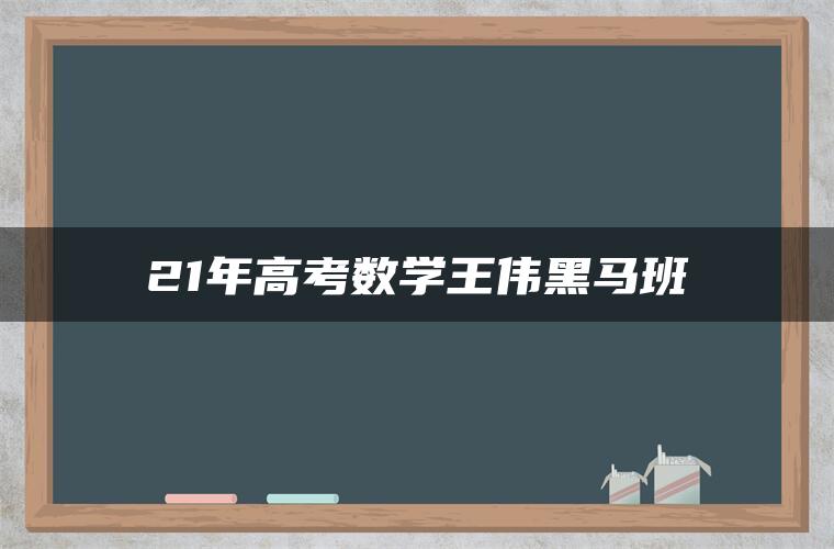 21年高考数学王伟黑马班