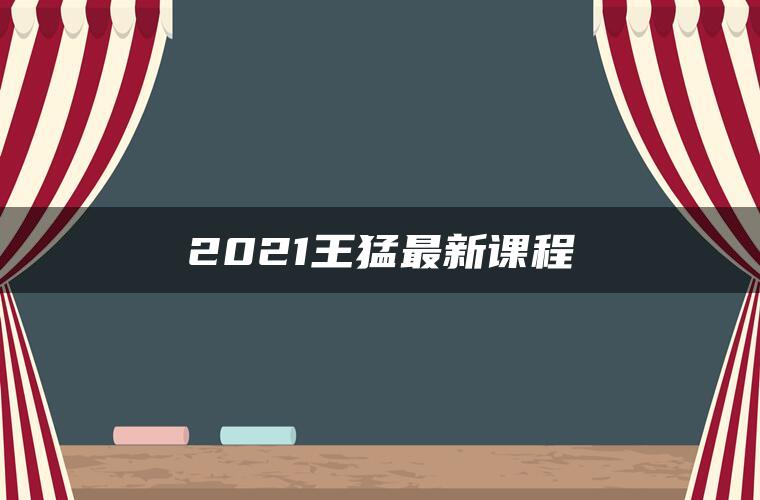 2021王猛最新课程