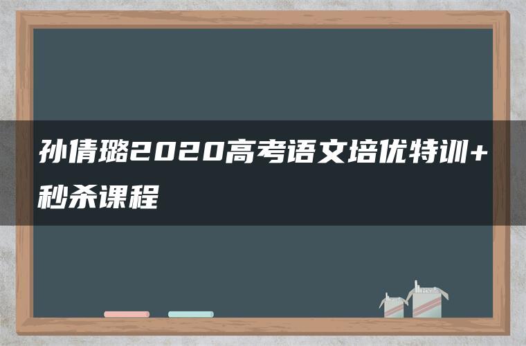 孙倩璐2020高考语文培优特训+秒杀课程