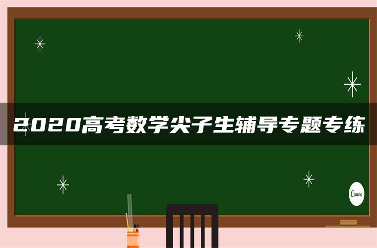 2020高考数学尖子生辅导专题专练