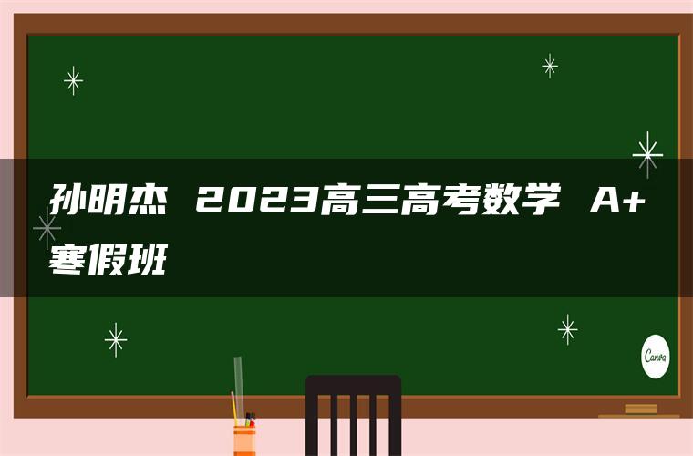 孙明杰 2023高三高考数学 A+寒假班