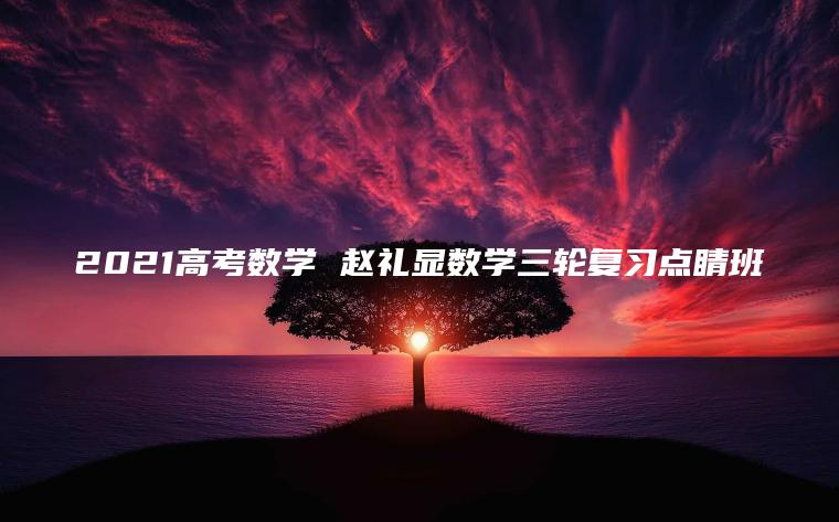 2021高考数学 赵礼显数学三轮复习点睛班