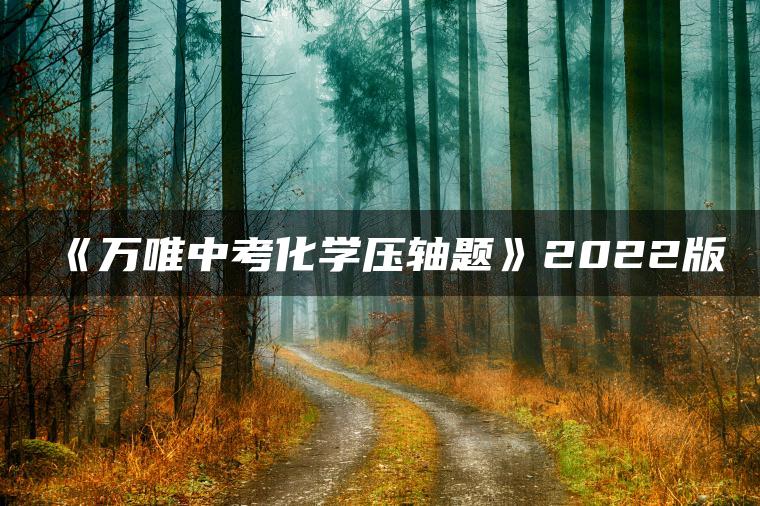 《万唯中考化学压轴题》2022版