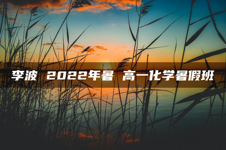 李波 2022年暑 高一化学暑假班