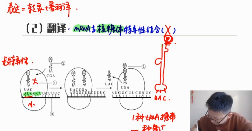 1644414533 陈旭晨 高三生物2021年秋季班