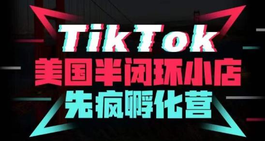 疯人院·TikTok美国半闭环小店孵化营，抢占TikTok美国蓝海市场，开店、运营、带货、投流全实操