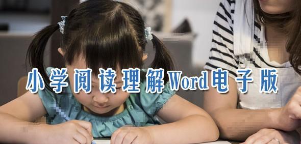 1638106994 小学语文阅读理解Word电子版可打印