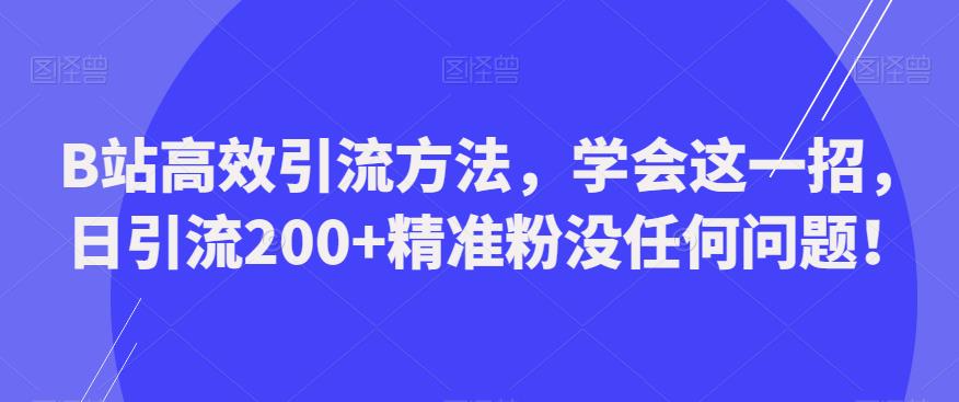 B站高效引流方法，学会这一招，日引流200+精准粉没任何问题【揭秘】