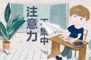 注意力训练卡完整版等多个文件（视频软件电子书）