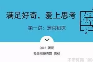 千聊 孙维刚研究院-陈硕 让学生爱上思考的数学思维课 2018