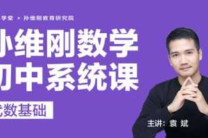 袁斌-孙维刚初中数学系统课代数基础