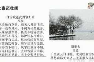 诸葛学堂 新统编版九年级语文同步课程（初三）