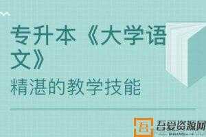 大学语文 专升本文档打包资料【浙江专升本】  [视频]