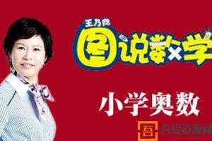 王乃向图说数学-小学奥数课教学视频全集  [视频]