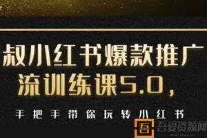 小红书爆款推广引流训练课5.0，手把手带你玩转小红书