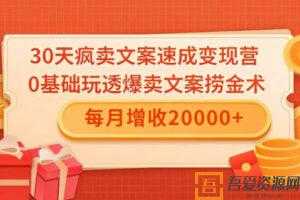 雨涛-30天疯卖文案速成变现，0基础玩透爆卖文案捞金术