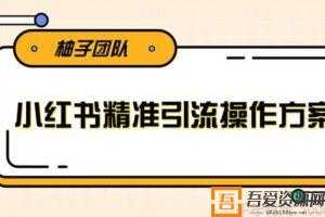 柚子-小红书精准引流操作方案 一步步执行轻松爆流上万