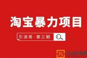 引流哥《淘宝暴力项目第3期》非刷D买东西赚钱  [视频] [课件]