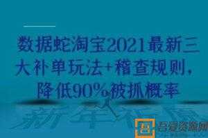 数据蛇 淘宝2021最新三大补单玩法+稽查规则 降低90%被抓概率  [视频]