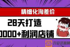 精细化淘差价28天打造10000+利润店铺  [视频]