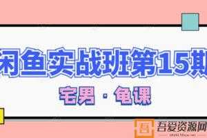龟课-闲鱼无货源电商课程（第15期）  [视频]
