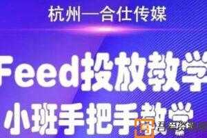 合仕传媒《Feed投放教学》小班手把手教学  [视频]