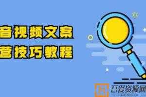 抖音视频文案运营技巧教程：注册-养号-发作品-涨粉方法  [视频]