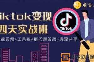 《tiktok变现四天实战班》连怼技术+矩阵玩法赚   [视频]