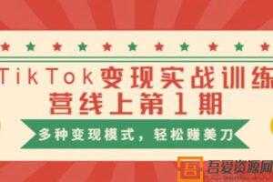 龟课-TikTok变现实战训练营线上第1期 多种变现模式赚美刀  [视频]