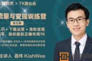 嘉伟-TK增长会 TikTok流量与变现训练营 第五期（结营）  [视频]