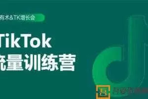 2020最新TIKTOK流量增长训练营 附PPT  [视频]