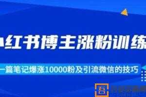 小红书博主涨粉训练营：一篇笔记涨1万粉及引流微信技巧  [视频]