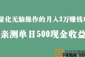 田掌柜-批量化无脑操作月入3万赚钱项目 亲测日赚500元  [视频]