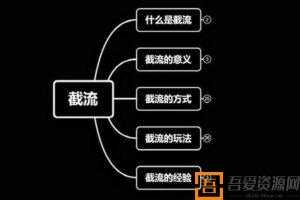 蚊子-长期有效的实战截流技术＋百度被动引流过万系统2.0  [视频]