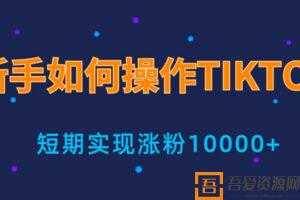 手小白操作tiktok，3天从0到10000粉丝撸美金实战分享  [视频]