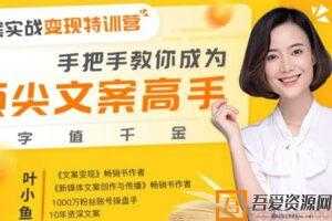 叶小鱼-有讲课堂 21天文案系统训练营  [视频]