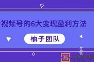 柚子-视频号的6大变现盈利方法 每种做到极致都能年赚100W+  [视频]