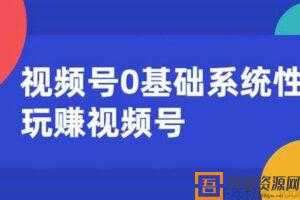 零基础系统性玩赚视频号 内容运营+引流+快速变现  [视频]