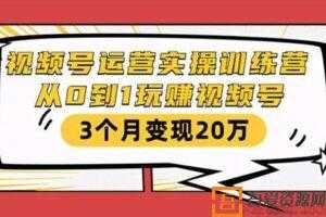 财神大咖会-视频号运营实操训练营 从0到1玩赚视频号  [视频]