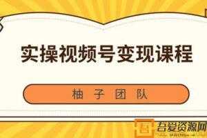 柚子-实操视频号变现课程 助你2021抓住赚钱风口  [视频]