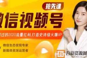 微信视频号课程：不能错过的2020流量红利 微信视频号赚钱攻略  [视频]