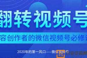 翻转视频号 内容创作者的视频号必修课，3个月涨粉至1W+  [视频]