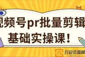 视频号PR批量剪辑0基础实操课 1分钟1个视频  [视频]