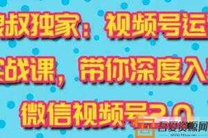 狼叔-视频号运营实战课2.0 快速吸粉吸金  [视频]