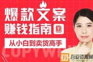 兔妈《爆款文案赚钱指南》从小白到卖货高手  [视频]