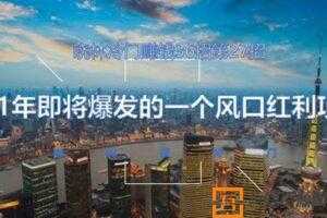 晓林冷门 赚钱36招第27招 2021年即将爆发的一个风口红利项目  [视频]