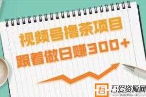 东哲-东哲日记 视频号撸茶项目 跟着做轻松日赚300+  [视频]