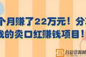 分享卖口红赚钱项目 3个月赚了22万元  [视频]