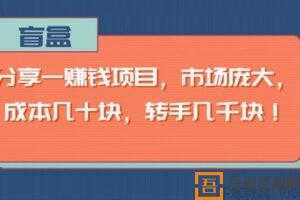 盲盒-分享一个市场庞大的赚钱项目 成本几十块 转手几千块  [视频]