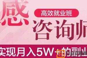 情感咨询师高效就业班 能实现月入5W+的副业  [音频]